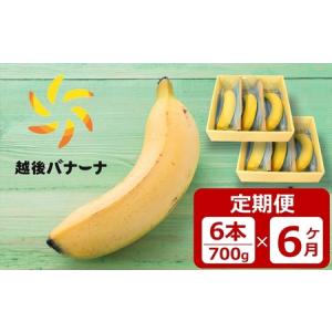 ふるさと納税 【定期便・雪国新潟産バナナ】6本（700g）×6回 濃厚な甘さともっちり食感！安心安全の越後バナーナ[ZS005] 新潟県柏崎市
