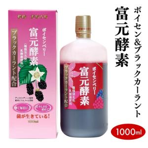 ふるさと納税 ボイセン&ブラックカーラント富元酵...の商品画像