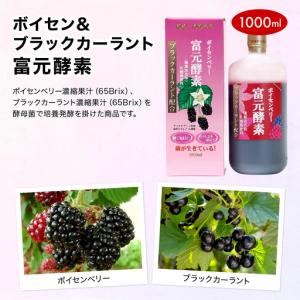 ふるさと納税 ボイセン&ブラックカーラント富元...の詳細画像1