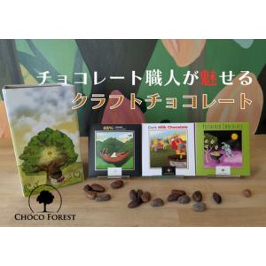 ふるさと納税 [チョコレート専門店 CHOCO FOREST] 人気の3種 ダーク・ミルク・ピスタチ...