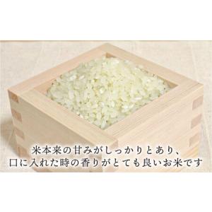 ふるさと納税 【全12回 定期便】 糸島産 夢...の詳細画像1