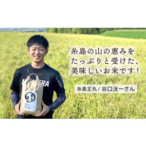 ふるさと納税 【全12回 定期便】 糸島産 夢...の詳細画像3