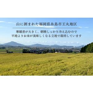 ふるさと納税 【全12回 定期便】 糸島産 夢...の詳細画像4