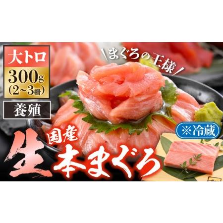 ふるさと納税 まぐろの王様！生本マグロ大トロ300g [e04-b029] 本まぐろ　本マグロ　まぐ...