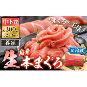 ふるさと納税 まぐろの王様！生本マグロ中トロ300g [e04-a081]