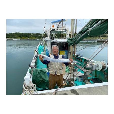 ふるさと納税 082-1　釣り船　海宝丸　乗船券　釣り物：太刀魚 静岡県牧之原市
