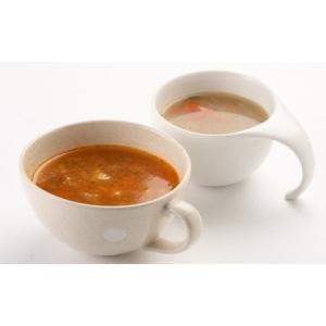 ふるさと納税 くまもと野菜畑 スープ 10食セット 熊本県人吉市