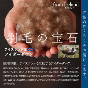 ふるさと納税 【甲州羽毛本掛けふとん】シルク1...の詳細画像2