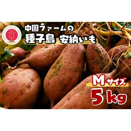 ふるさと納税 種子島 中園ファーム 安納いも ( 生芋 ) M サイズ 5kg　NFN057【300...