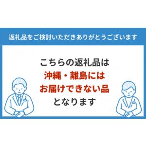ふるさと納税 【日本ベッド】シルキーフォルテ ...の詳細画像3