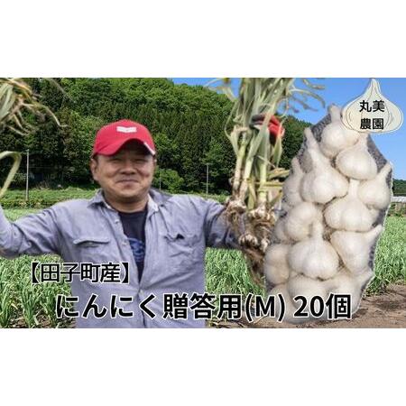 ふるさと納税 丸美農園 田子産贈答用にんにく（M）20個 青森県田子町