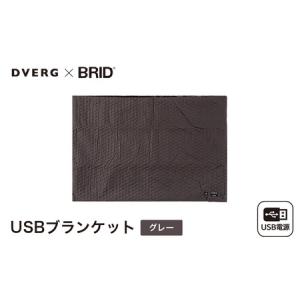 ふるさと納税 DVERG×BRID USBブランケット２（グレー）