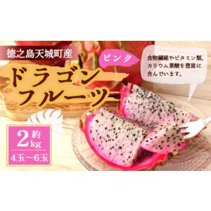 ふるさと納税 天城町産 ピンク ドラゴンフルーツ 約２ｋｇ
