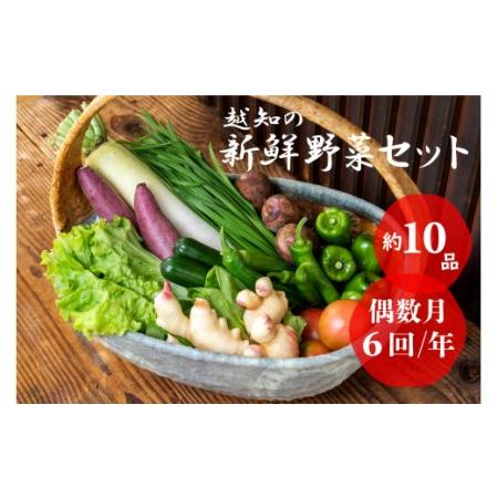 ふるさと納税 越知産市の季節の野菜セット(年6回発送) 偶数月 高知県越知町