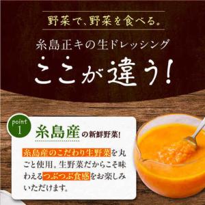 ふるさと納税 【全12回定期便】糸島 野菜 を...の詳細画像2