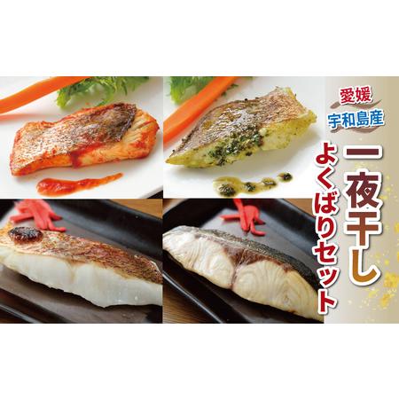 ふるさと納税 干物 セット 一夜干し よくばりセット こもねっと 干物 D025-008005 愛媛...