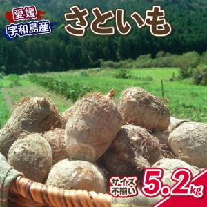 上庄の里芋 10kg入 福井県大野市産里いも(サトイモ) 特産品 里イモ