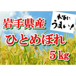 ふるさと納税 【令和5年産】岩手県産ひとめぼれ5kg 【1291】 岩手県花巻市