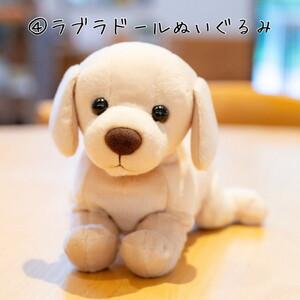 ふるさと納税 【返礼品相当額で盲導犬の育成を支...の詳細画像4