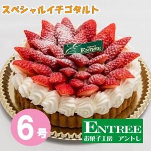 ふるさと納税 スペシャルイチゴタルト6号サイズ クリスマス クリスマスケーキ ケーキ お祝い お誕生...