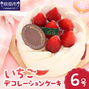 ふるさと納税 イチゴデコレーション6号サイズ クリスマス クリスマスケーキ ケーキ お祝い お誕生日ケーキ バースデーケーキ 記念日ケーキ サプ.. 大阪府泉南市