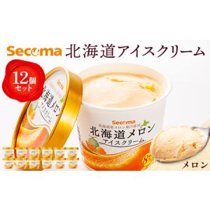 ふるさと納税 【Secoma】北海道アイスクリーム（メロン12個セット）【01102】 北海道羽幌町