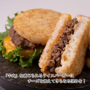 ふるさと納税 定期便 12カ月 和牛 チーズ ...の詳細画像1
