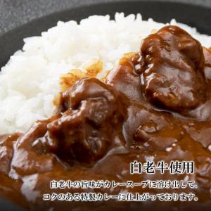 ふるさと納税 定期便 12カ月 和牛 ビーフカ...の詳細画像1