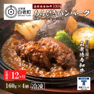 ふるさと納税 定期便 12カ月 和牛 粗びき 生 ハンバーグ 4個セット デミグラスソース付き 160ｇ×4袋 北海道白老町