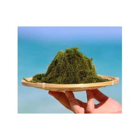 ふるさと納税 【2026年発送】宮古島朝採れ海ぶどう（5パック）｜新鮮直送 プチプチ食感 沖縄土産 ...