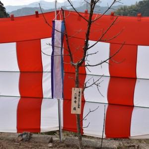 ふるさと納税 ひとつばたごの木 30年オーナー権...の商品画像