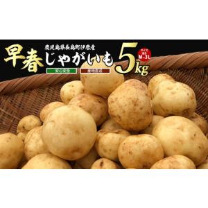 ふるなび(ふるさと納税) - じゃがいも・イモ類（野菜類）｜Yahoo