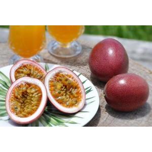 ふるさと納税 パッションフルーツ 化粧箱15個入り（M玉）