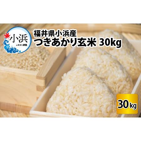 ふるさと納税 【令和5年産】福井県産つきあかり 玄米 30kg 若狭の恵 玄米 [C-002005]...