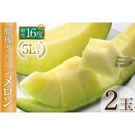 ふるさと納税 【先行受付】グリーンメロン 糖度16度 5L (約2.2kg以上)×2玉 メロン 青肉...