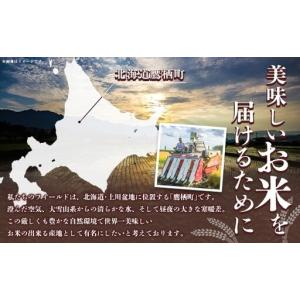 ふるさと納税 【令和7年産】 ゆめぴりか (白...の詳細画像2