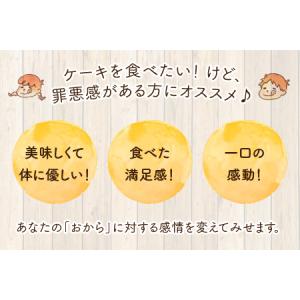 ふるさと納税 おからパウダーで作ったグルテンフ...の詳細画像2