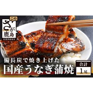 ふるさと納税  うなぎの蒲焼１尾入り 180〜200g 大型サイズ 鰻 ウナギ 蒲焼き タレ付き 密封パック入りうなぎ 佐賀県 鹿島市 冷蔵うなぎ　B-14 佐賀県鹿島市｜furunavi