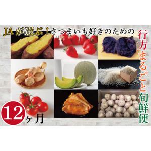 ふるさと納税 AE-55【12ヶ月定期便】JAが選ぶ！さつまいも好きのための行方まるごと旬鮮便 茨城県行方市