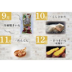 ふるさと納税 AE-55【12ヶ月定期便】JA...の詳細画像3