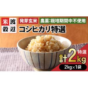 コシヒカリ 【令和7年度米】新潟 佐渡産コシヒカリ 精米25kg（5kg×5