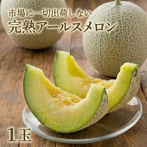 ふるさと納税 完熟 アールスメロン 1玉 [AF...の商品画像