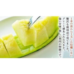 ふるさと納税 完熟 アールスメロン 1玉 [A...の詳細画像1