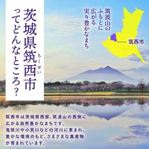 ふるさと納税 アールスメロン 1玉 先行予約 ...の詳細画像3