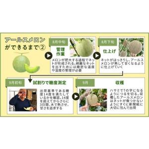 ふるさと納税 完熟 アールスメロン 1玉 [A...の詳細画像4