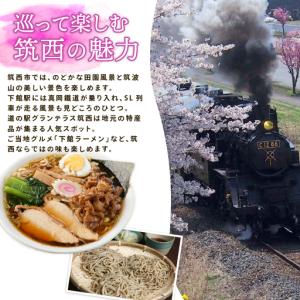 ふるさと納税 アールスメロン 1玉 先行予約 ...の詳細画像4