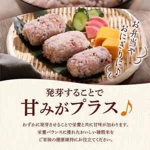 ふるさと納税 国内産 GABA雑穀米 230g...の詳細画像3