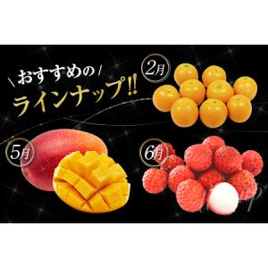 ふるさと納税 旬のロイヤルフルーツ定期便 12...の詳細画像3