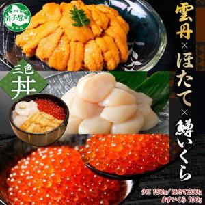 ふるさと納税 年内配送12月20日まで  1580. 雲丹 100g