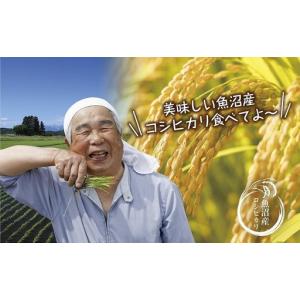 ふるさと納税 【定期便】|無洗米| 新潟県 魚...の詳細画像1